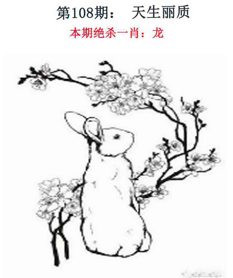 六合彩108期金钱豹自有真功夫
