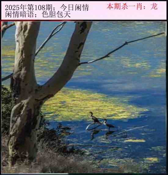 六合彩108期今日闲情