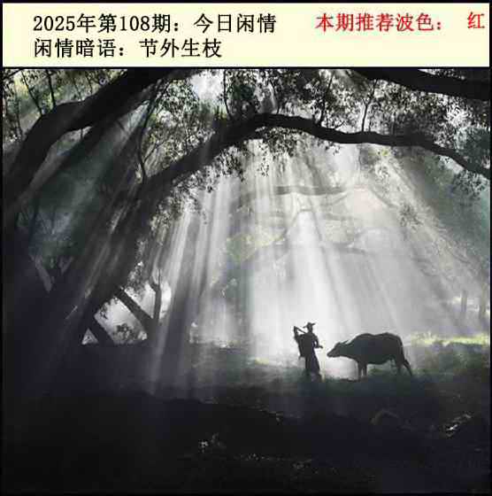 六合彩108期今日闲情2