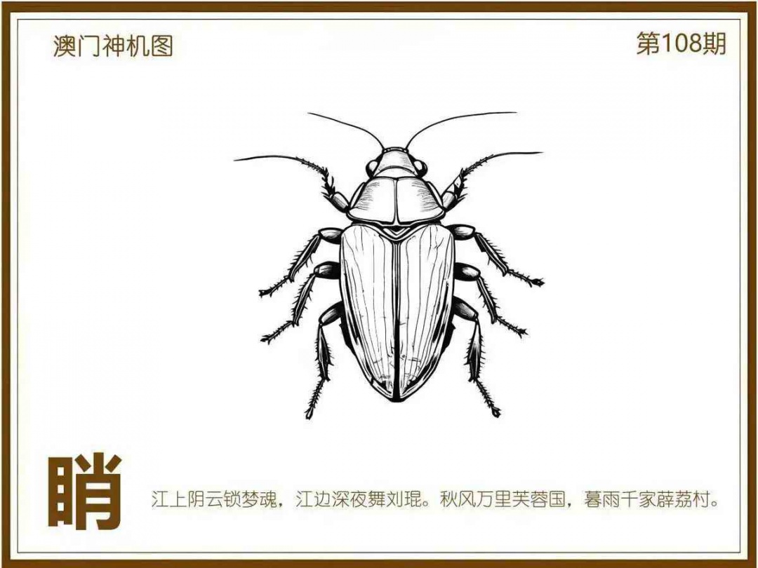 六合彩108期澳门神机图
