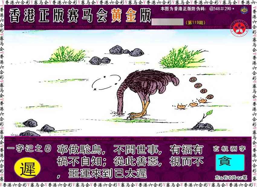 六合彩109期赛马会黄金版
