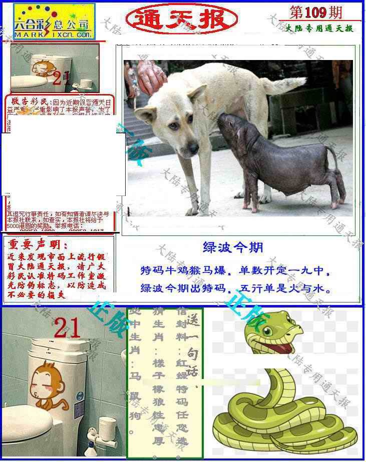 六合彩109期大陆通天报