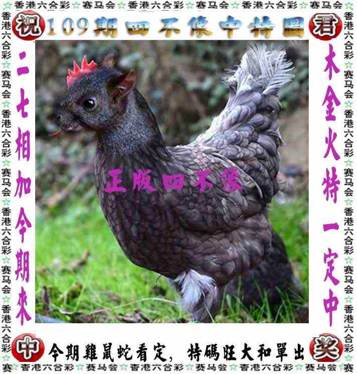 六合彩109期正版四不像