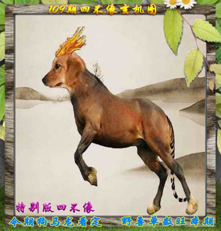 六合彩109期四不像特别版