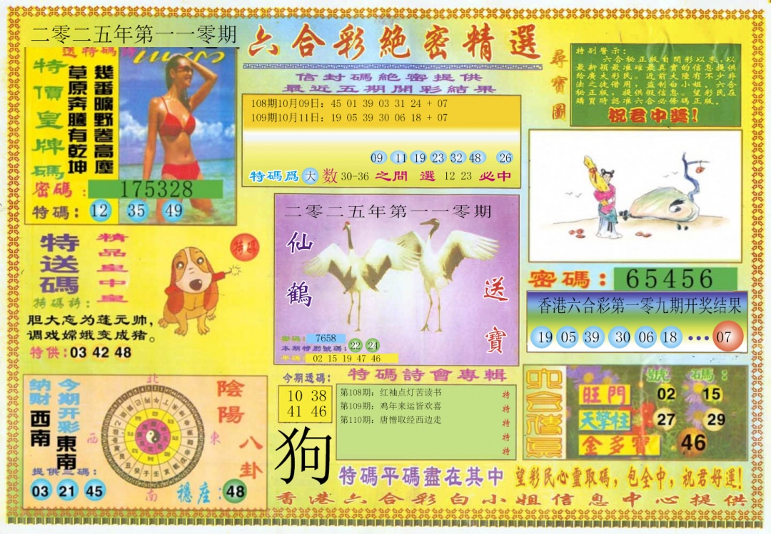 六合彩110期绝密精选A