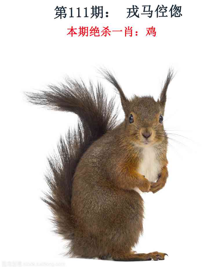 六合彩111期金钱豹自有真功夫