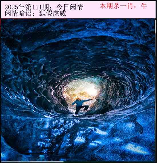 六合彩111期今日闲情