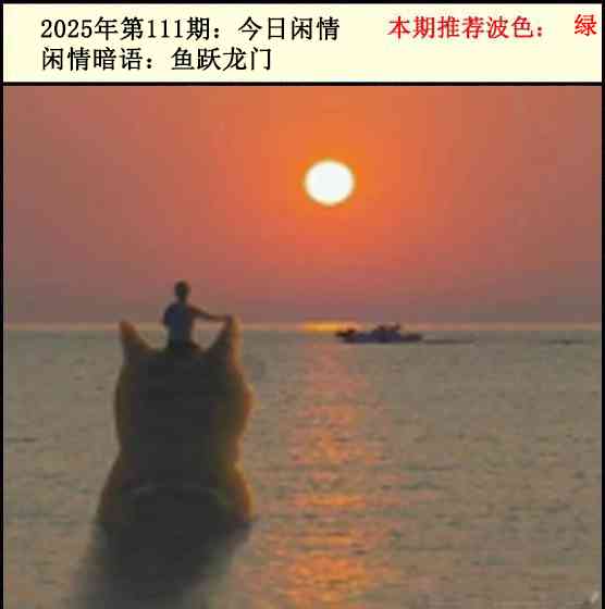 六合彩111期今日闲情2