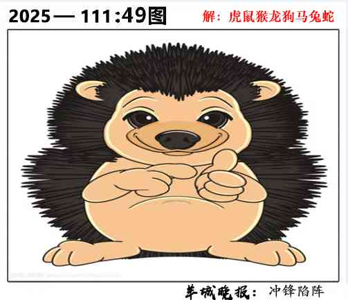 六合彩111期49图