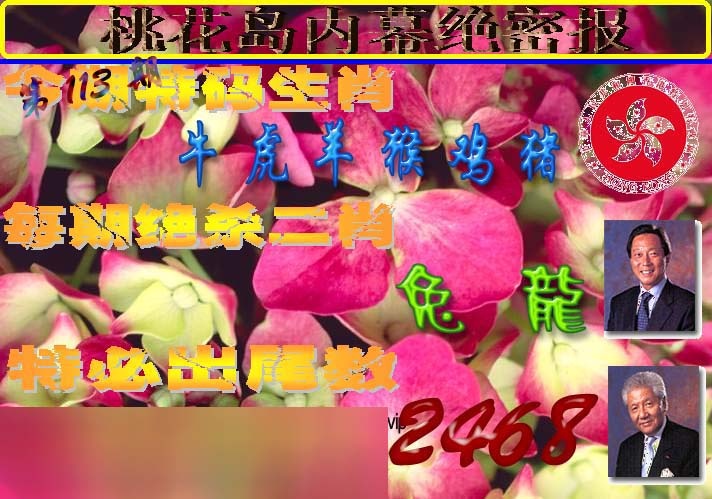 六合彩113期桃花岛内幕报
