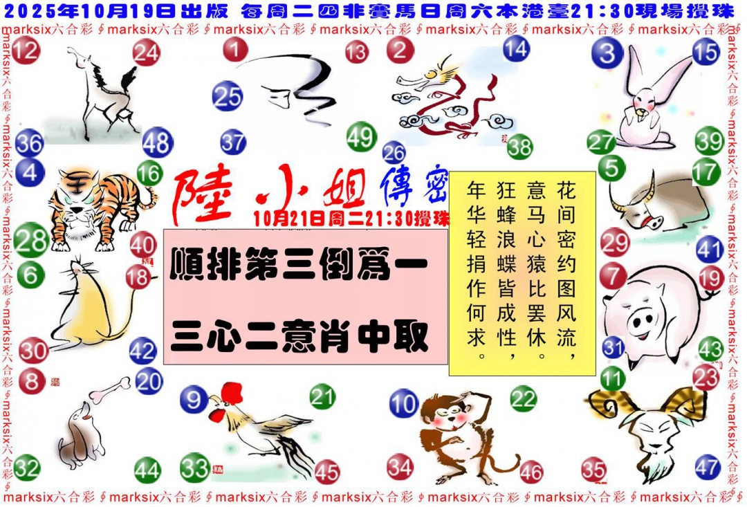 六合彩113期陆小姐传密B