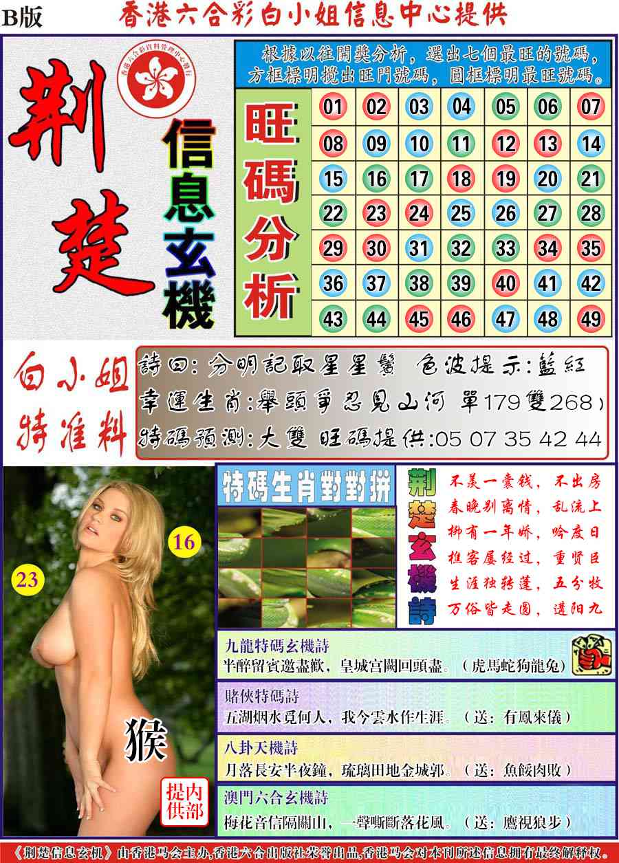 六合彩113期荆楚信息玄机B