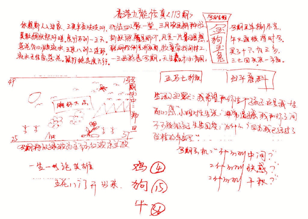 六合彩113期九龙传真(手写)