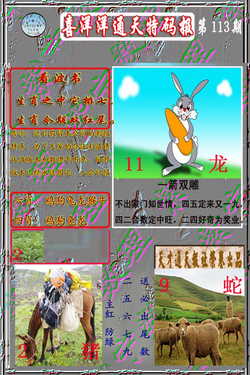 六合彩113期洋通报