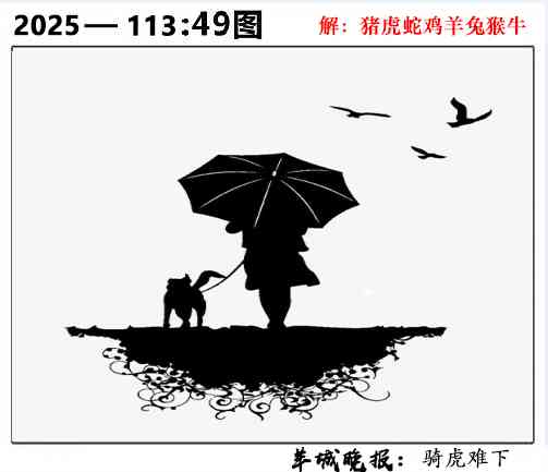 六合彩113期49图