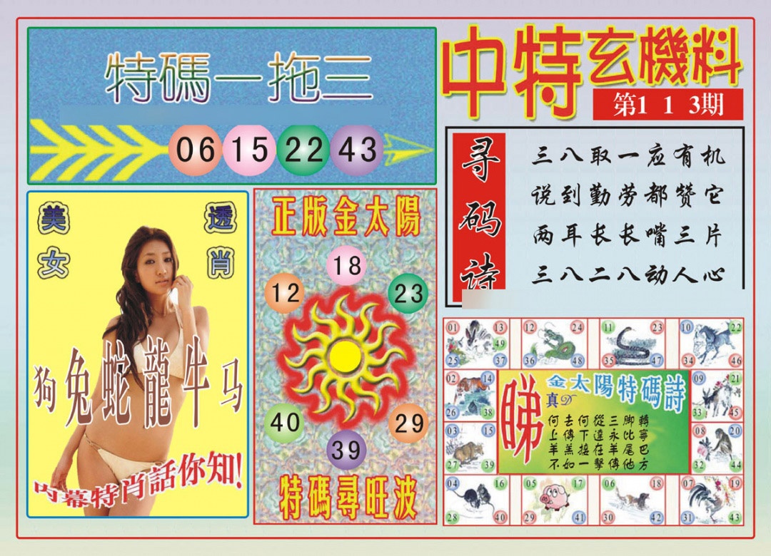 六合彩113期中特玄机料
