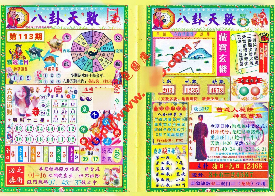 六合彩113期八卦天数