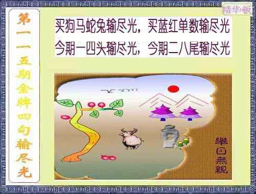 六合彩115期金牌四句输尽光