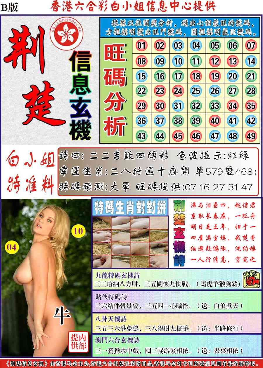 六合彩115期荆楚信息玄机B