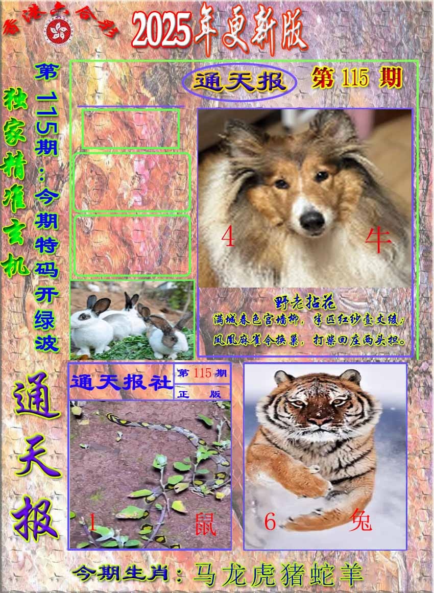 六合彩115期新通报