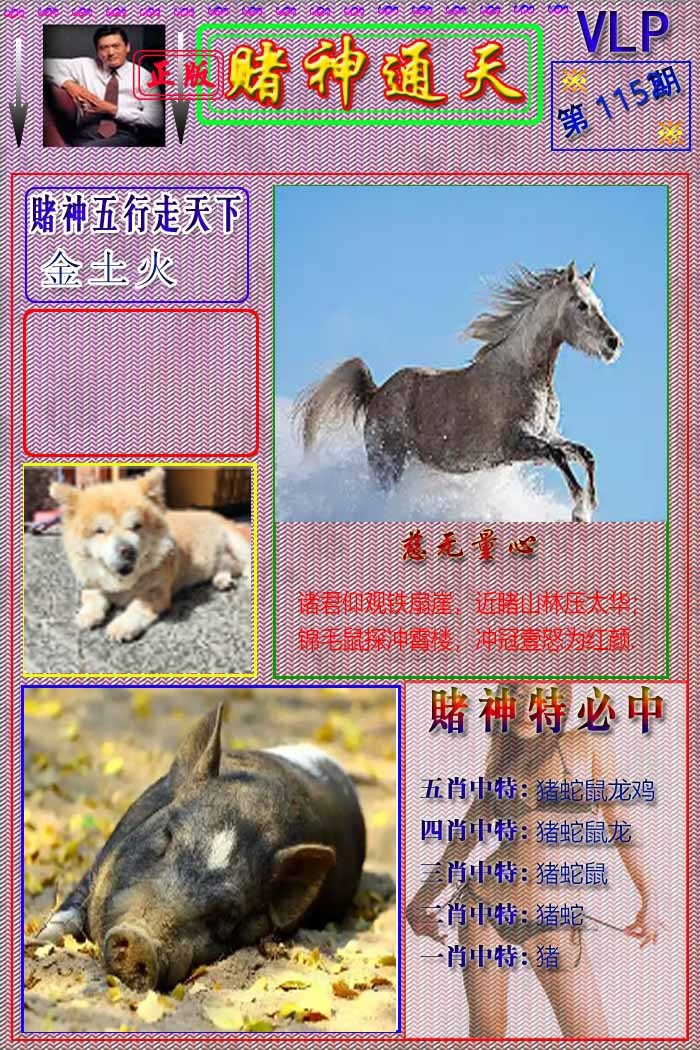 六合彩115期赌神通天报