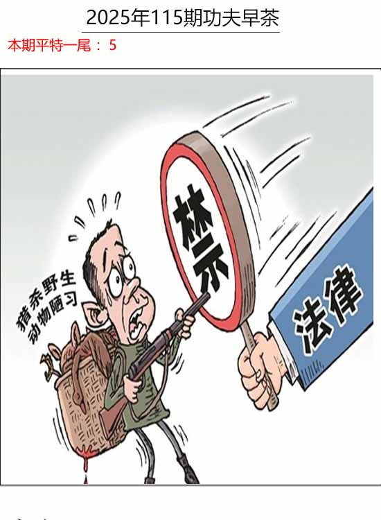 六合彩115期功夫早茶