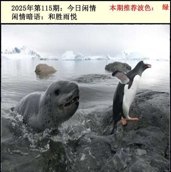 六合彩115期今日闲情2