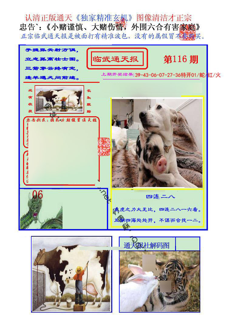 六合彩116期临武通天报