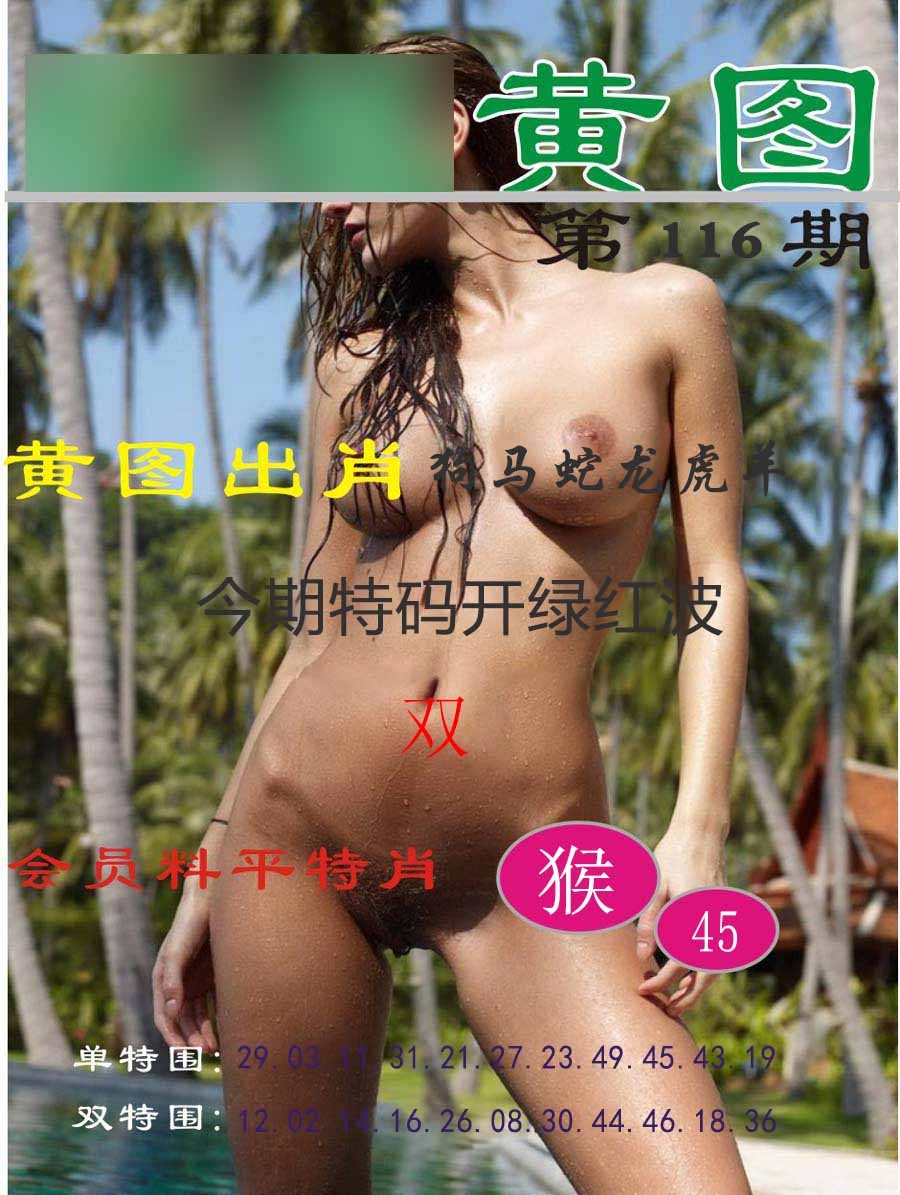六合彩116期黄图