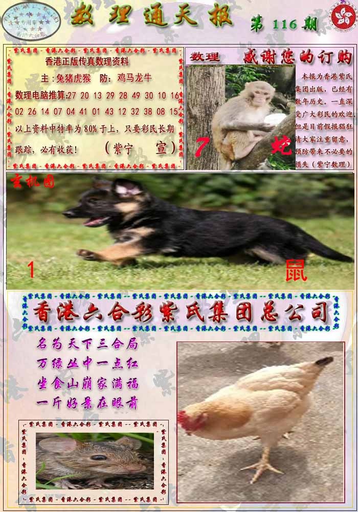 六合彩116期数通报