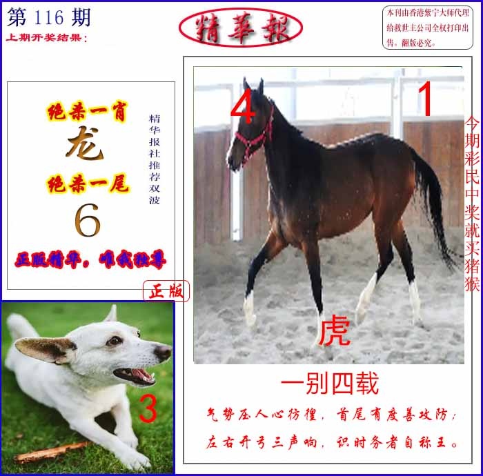 六合彩116期新精华报报