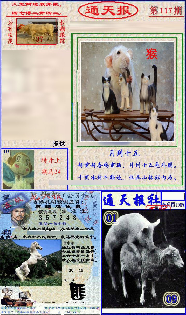 六合彩117期实力通天报