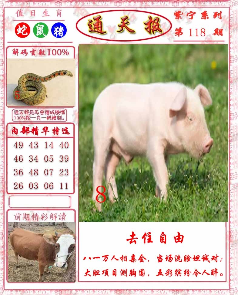六合彩118期救通报