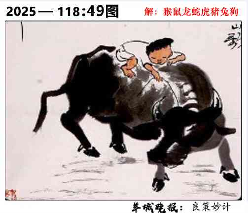 六合彩118期49图