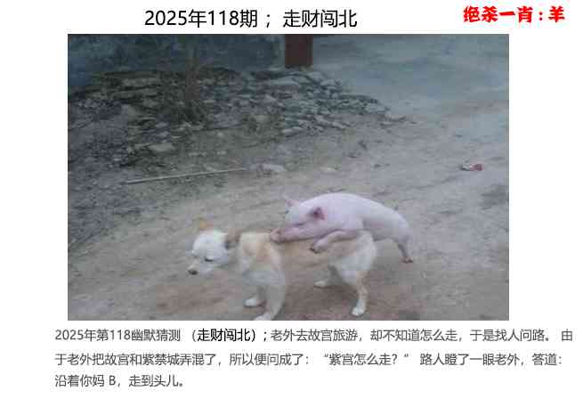 六合彩118期幽默猜测