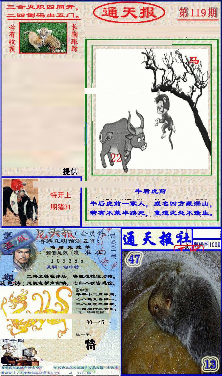 六合彩119期实力通天报