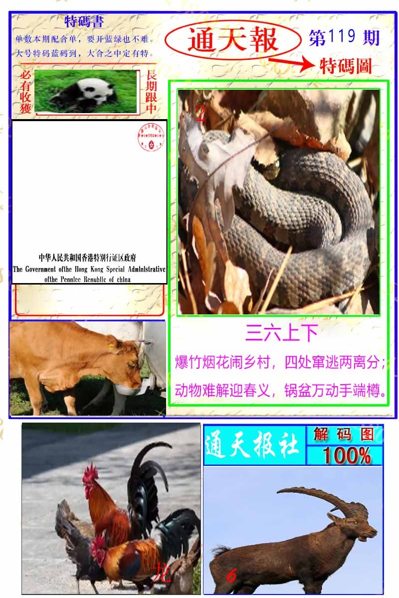 六合彩119期通天特解图