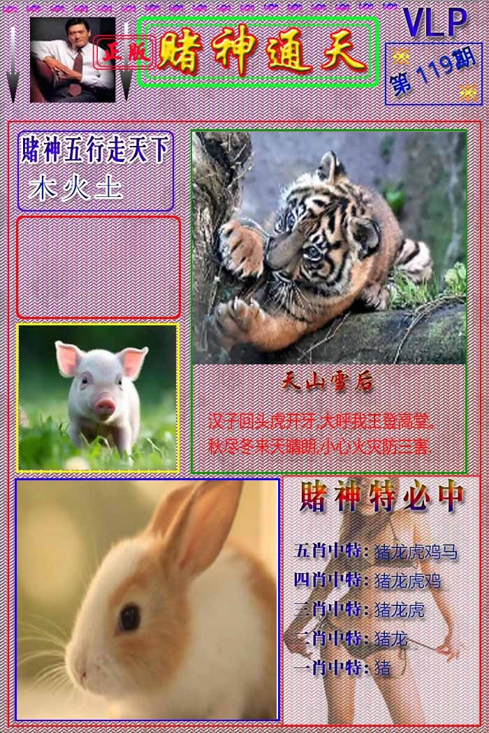六合彩119期赌神通天报