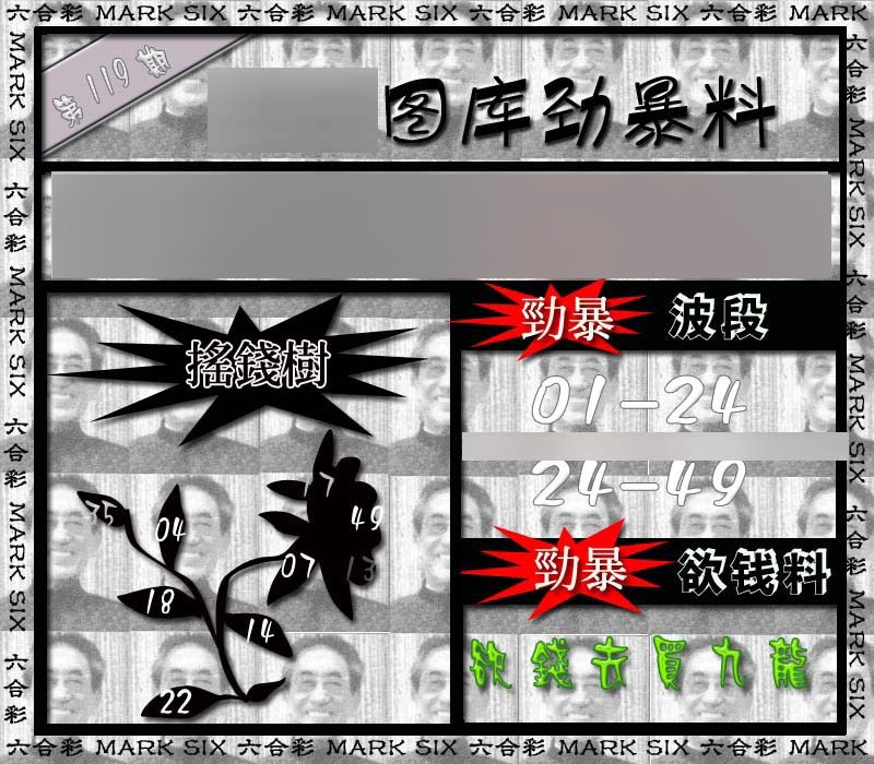 六合彩119期劲暴来料{正版}