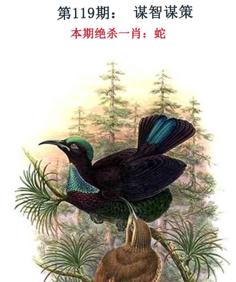 六合彩119期金钱豹自有真功夫