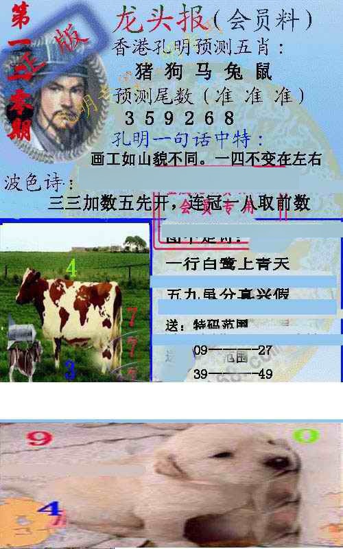 六合彩120期龙头报