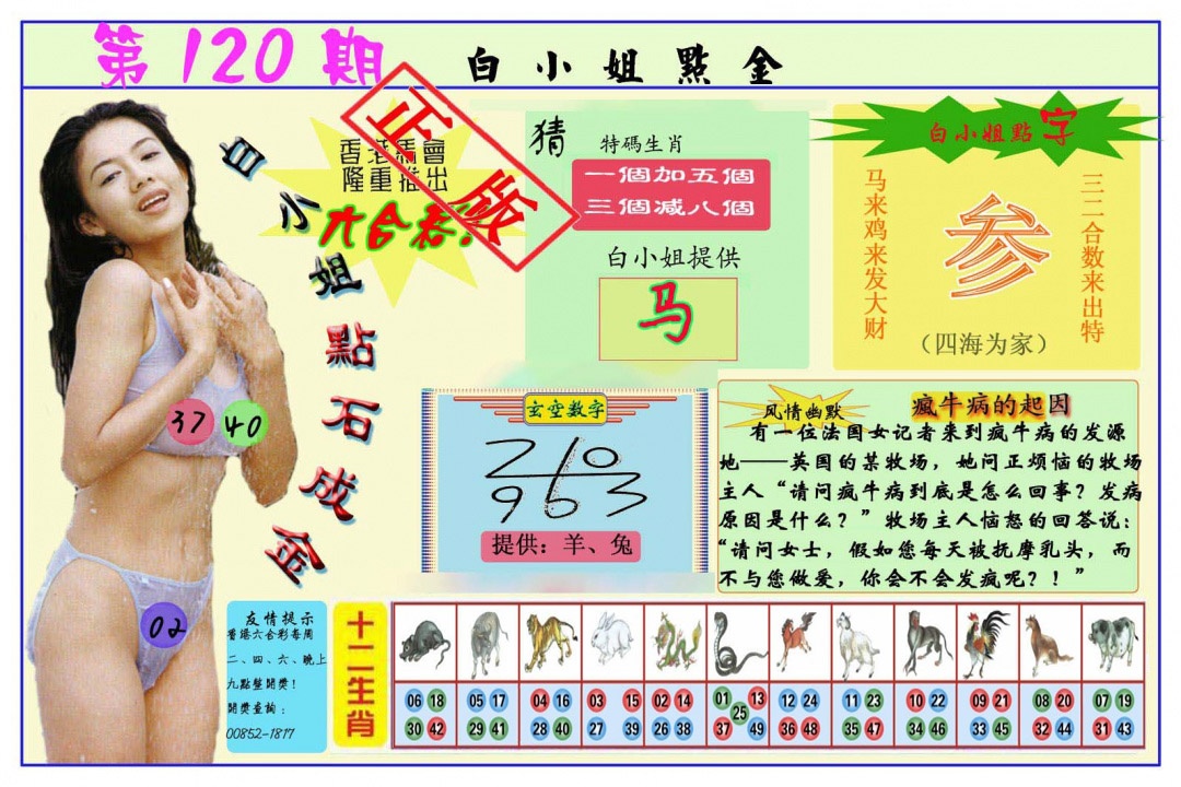 六合彩120期白小姐点金