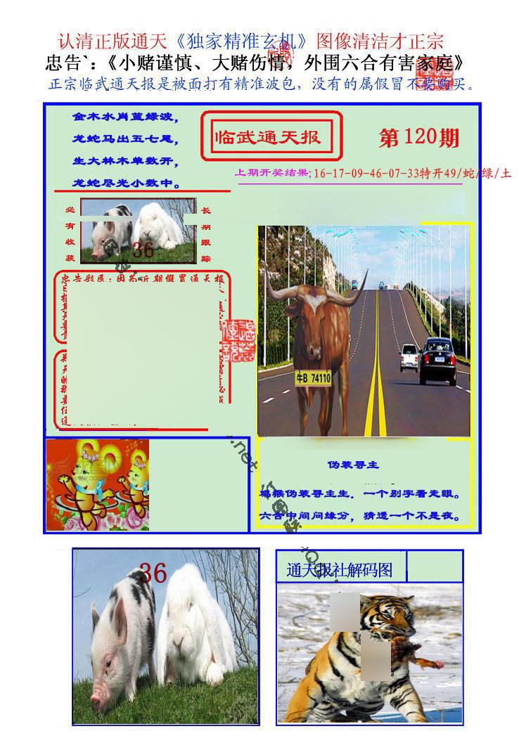 六合彩120期临武通天报