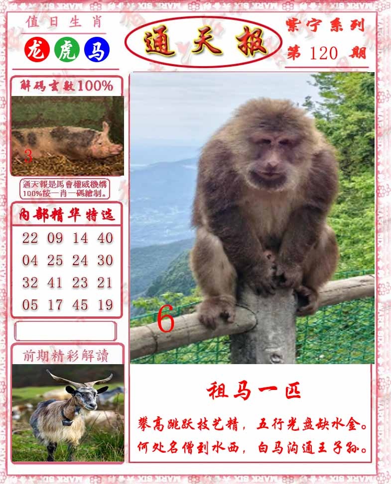 六合彩120期救通报