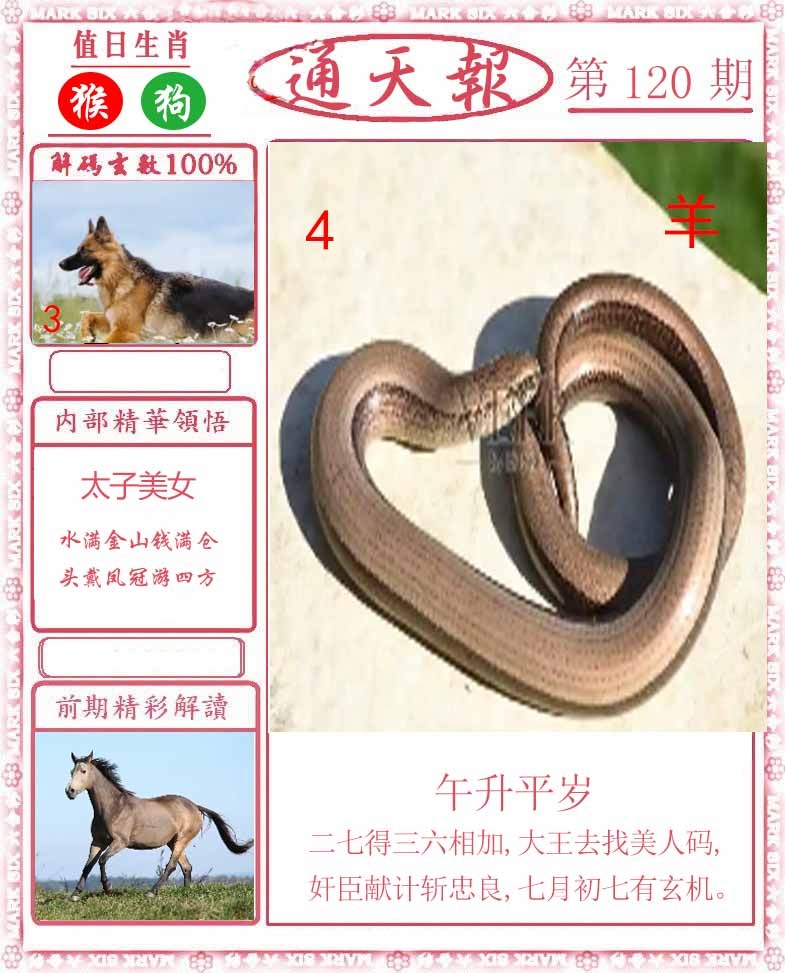 六合彩120期正版通天报