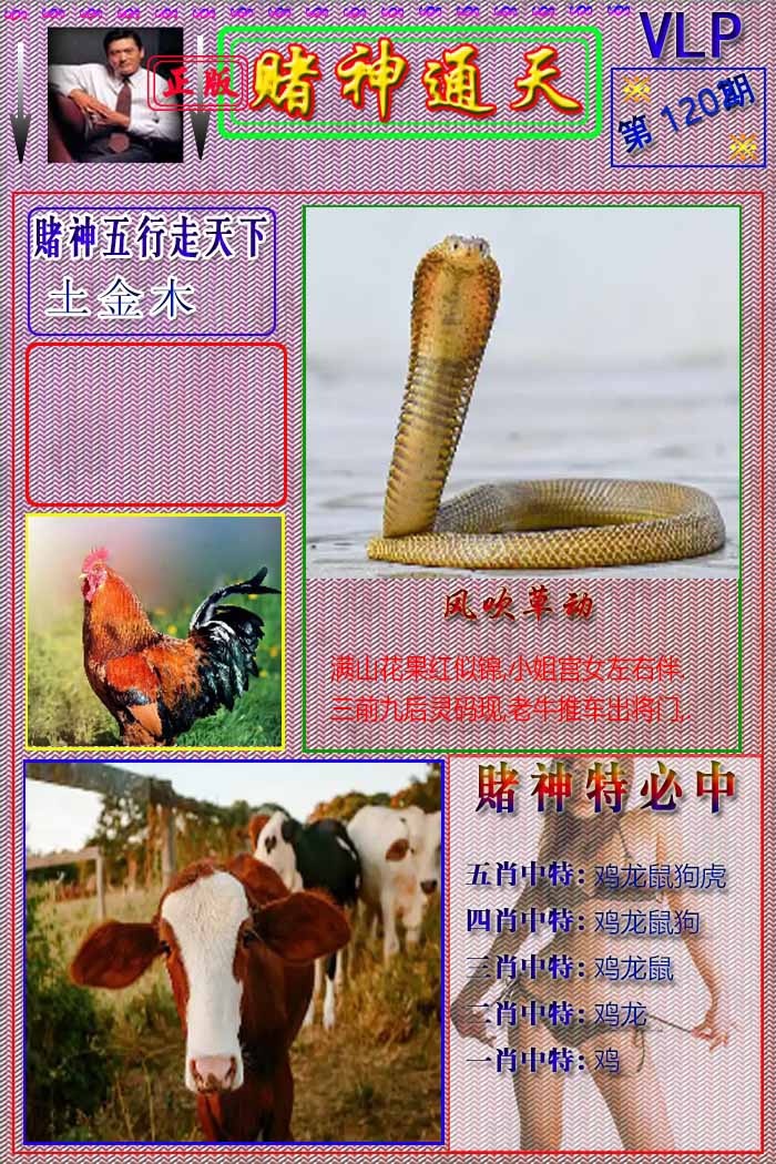 六合彩120期赌神通天报