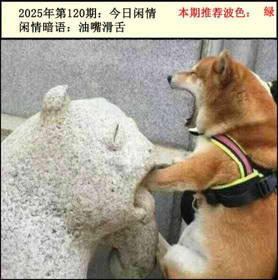 六合彩120期今日闲情2