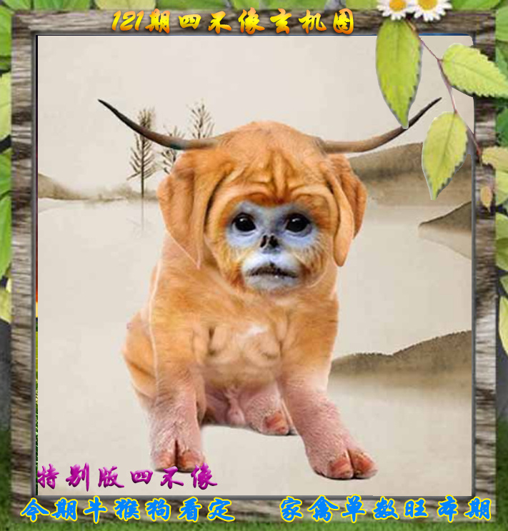 六合彩121期四不像特别版