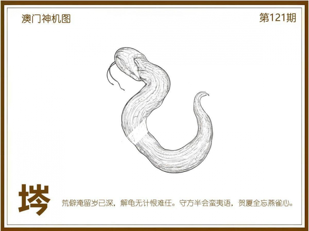 六合彩121期澳门神机图