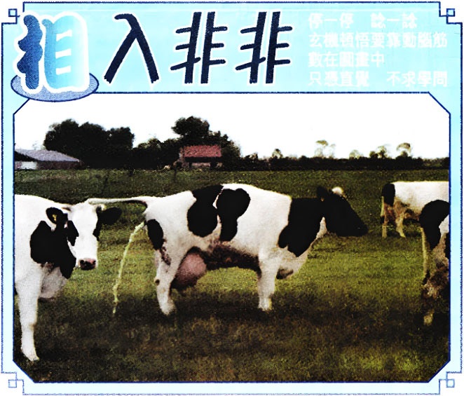 六合彩121期相入非非